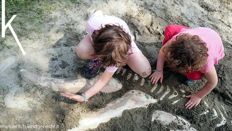 Dinosaurier ausgraben Meran Südtirol